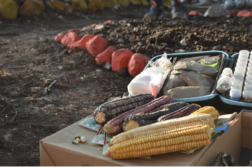Imagen que contiene exterior, tabla, alimentos, pequeño

El contenido generado por IA puede ser incorrecto.